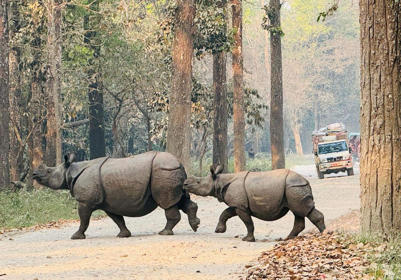 Nepal Travel Guide for Japanese Travelers: Everything You Need to Know Before Your Trip